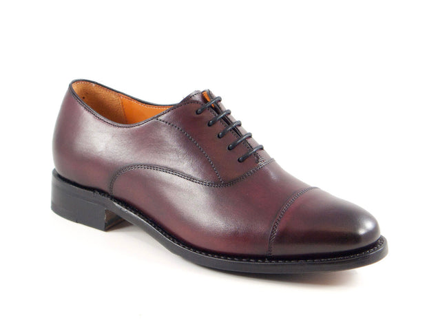 Plain Oxford red