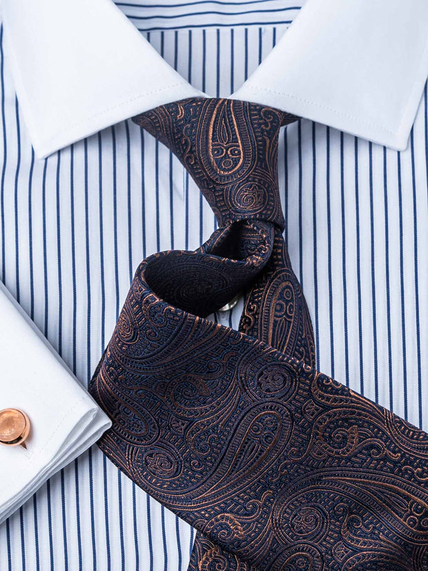 tie with paisley in navy/brown
