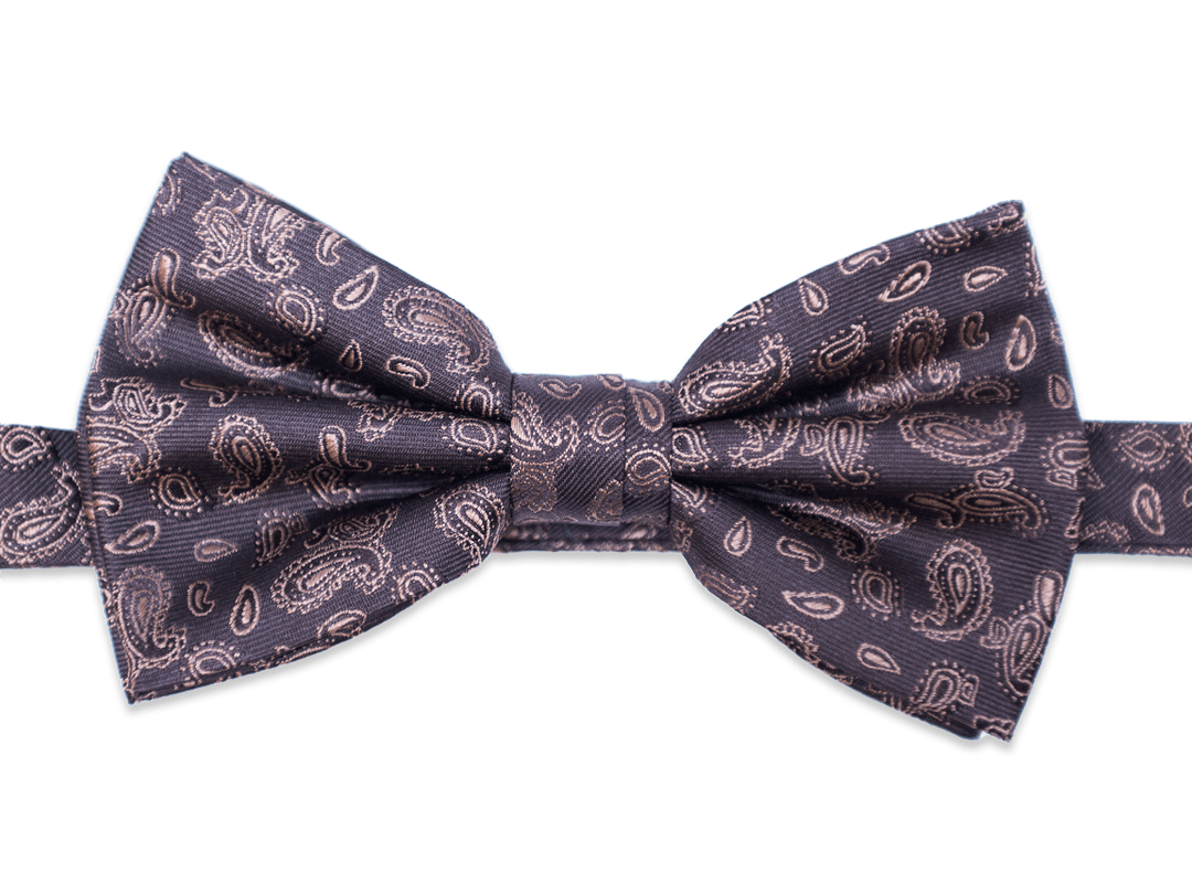 Fly with Paisley in Braun