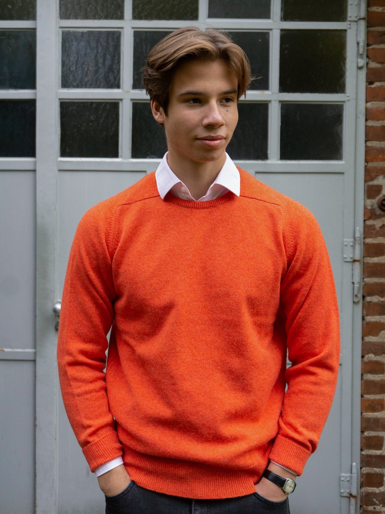 Lambswool sweater with a round neckline in modern colors (size 40-42)