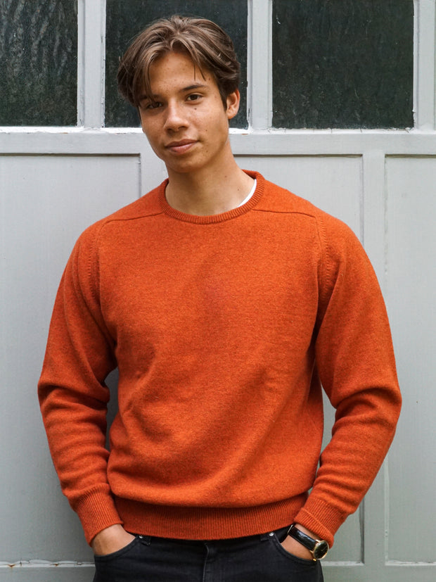 Lambswool sweater with C-neck in modern colours (size 44-52)