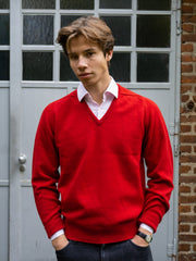 Lambswool sweater with V-neck in modern colors (size 44-52)